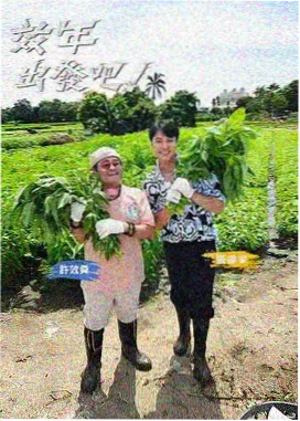 热播榜 厨房里的对话
